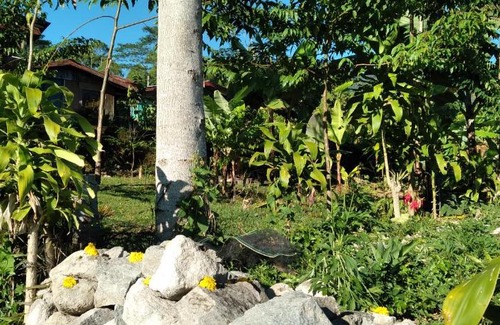 Ruteng House | Carleta homestay