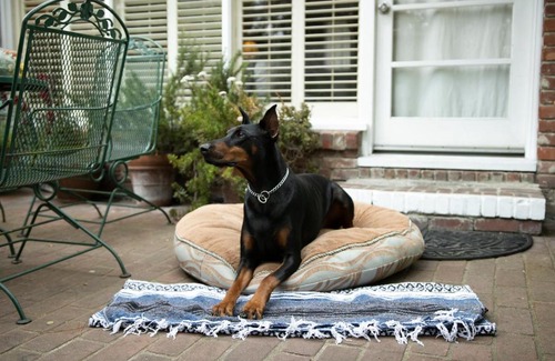 Northeast Carmel Bed & Breakfast | Carmel Garden Inn