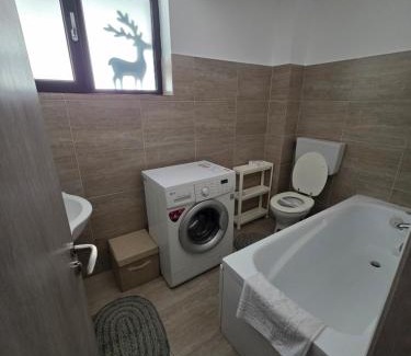 Bragadiru Apartment | Carmens place