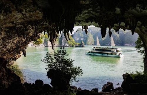 Ha Long Boat Rental | Carnival Cruise Halong