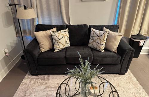 Museum District Apartment | Carytown Apartment; Free Netflix