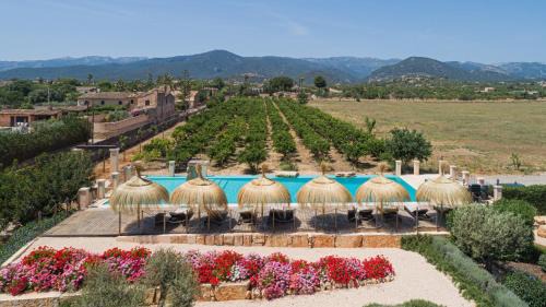 Santa Maria del Cami Villa | Cas Metge Matas