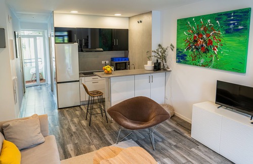 Pla del Bon Repos Apartment | Casa 349h Stylish city centre apartments Alicante (First Floor)
