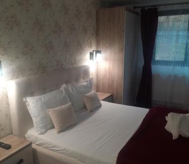 Baile Herculane House | Casa Adelina