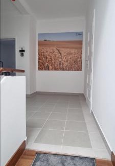 Ferreira do Alentejo Bed & Breakfast | Casa Al'entejo