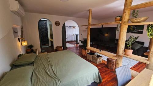 San Antonio House | Casa Alba