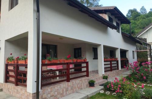 Bicazu Ardelean House | Casa Ana