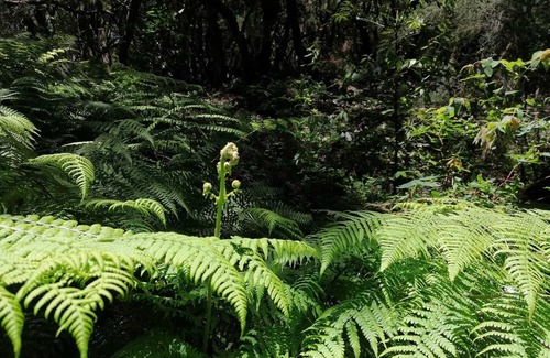 Laguna de Santiago Apartment | Casa Anita Tomar el sol y Darse una Ducha en la Terraza ¡5 Minutos de la Playa!