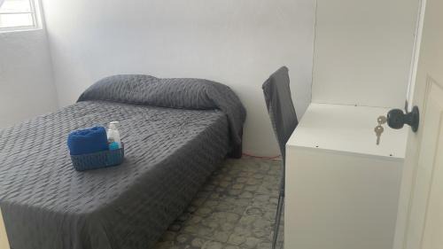 Zapopan House | Casa Ariosto