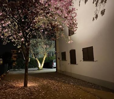 Novi di Modena House | Casa Bellodi
