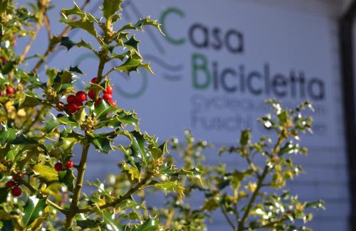 Fuschl am See Apartment | Casa Bicicletta