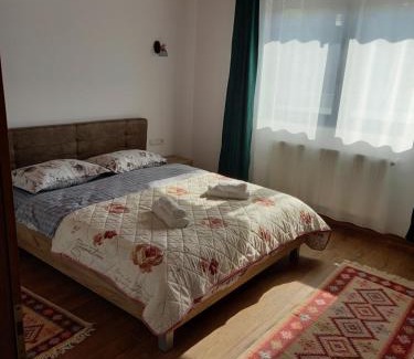 Bistrita Bargaului House | Casa Blaju