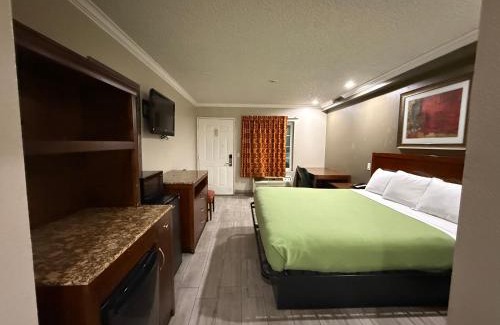 Corona Hotel | Casa Blanca Hotel - Corona By Dream Luxe
