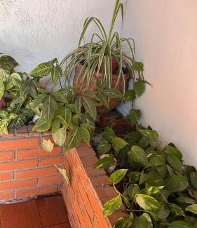 Santa Fe House | Casa Bonita Barrio Sur