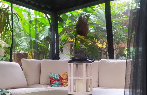El Vedado Hotel | Casa Brava Havana