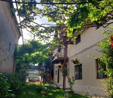 Sinca Veche House | Casa Bucium
