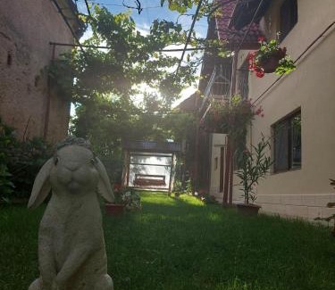 Sinca Veche House | Casa Bucium