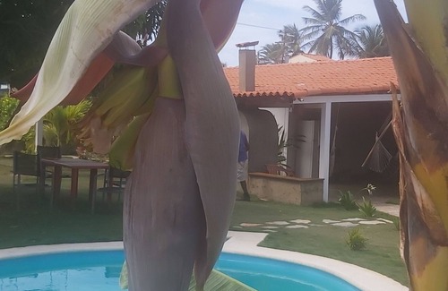 Margarita Island House | Casa Caraibe Playa el Agua Vacances Inoubliable au Soleil