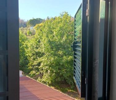 Caldas da Felgueira House | Casa Castenda