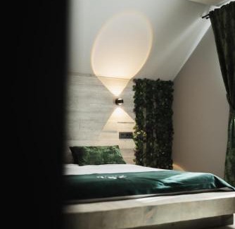 Baia-Sprie House | Casa Cerbului