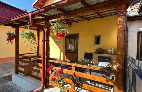 Vale House | Casa Cu Vie