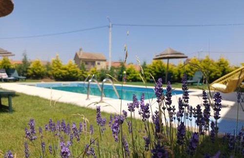 Sendim House | Casa D'Augusta - Agroturismo