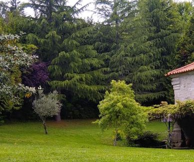 Molares House | Casa da Arosa