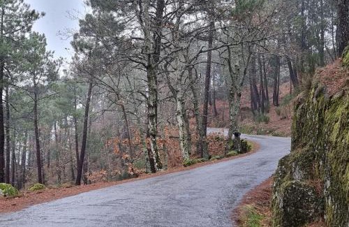Pero Viseu House | Casa da Avó Ana - Peroviseu - Serra da Gardunha - Serra da Estrela