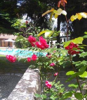 Santa Maria da Feira House | Casa da Boavista