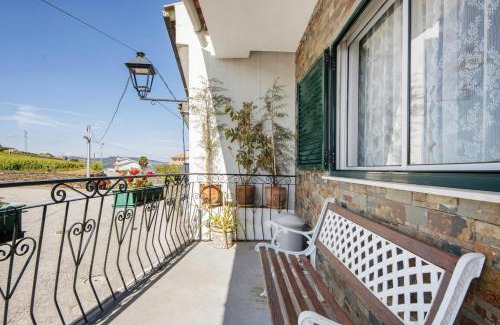 Provesende House | Casa Da Jesus