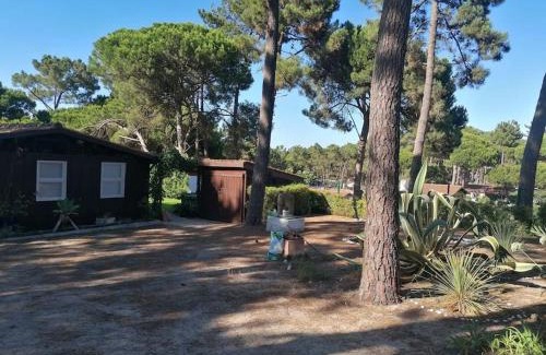 Lagoa de Albufeira Apartment | Casa da Lagoa