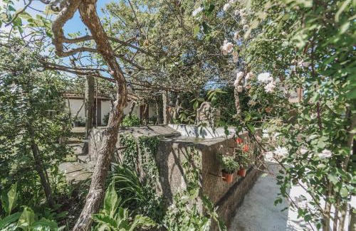 Barcelos House | Casa da Luisinha - Country House - Country House