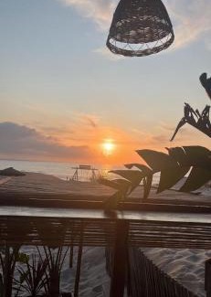 Praia de Mira House | Casa da Mata