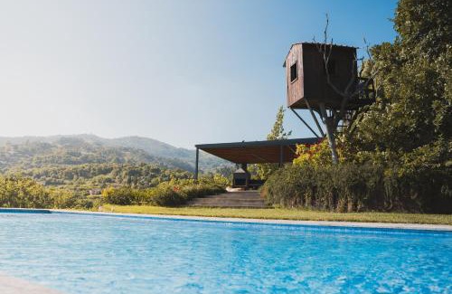 Santa Cruz do Douro House | Casa da Mouta - Douro Valley