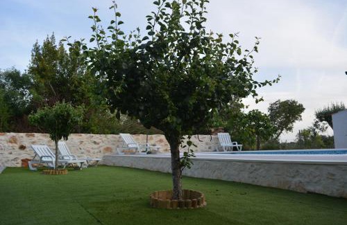 Ansiao House | Casa da Pedra