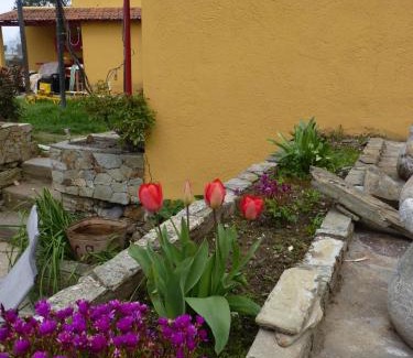 Peso da Regua House | Casa da Vinha Grande