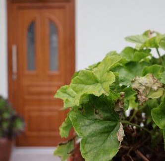 Canicada Bed & Breakfast | Casa Das Chães