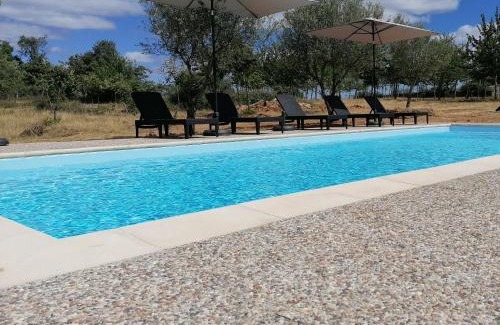 Mogadouro House | Casa das Indrineiras