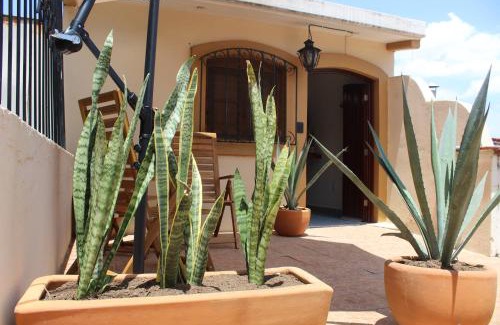 Centro Apartment | Casa de Alicia - Habitación Xaguar