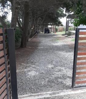 Real de San Carlos Cabin | Casa de artista