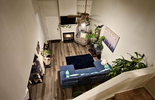Westminster House | Casa de gato