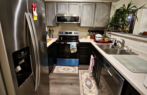 Westminster House | Casa de gato