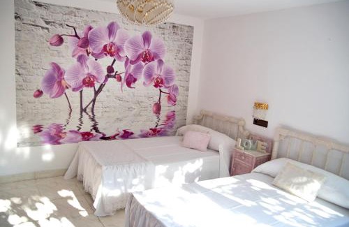 Coiron House | Casa de Torres