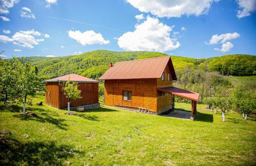 Pianu de Sus House | Casa de Vacanta Hanes