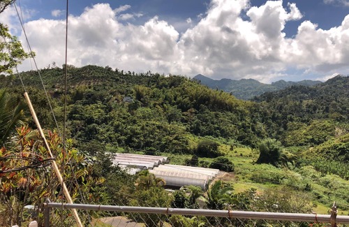 Adjuntas House | Casa del Campo