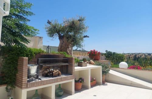 Alomartes House | Casa del olivo Lucio en Alomartes