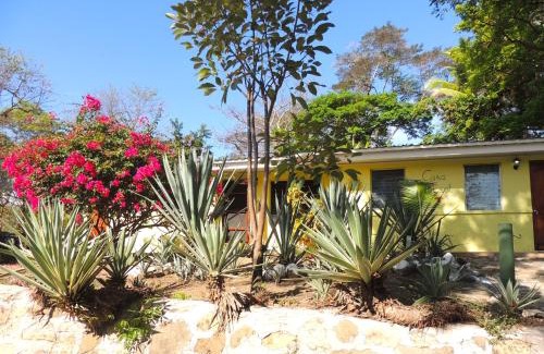 Contadora Island Bed & Breakfast | Casa del Sol Bed and Breakfast