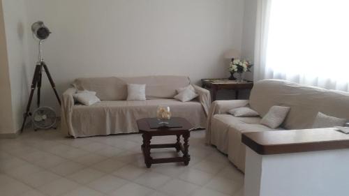 Viareggio House | Casa dell'Ulivo Antico