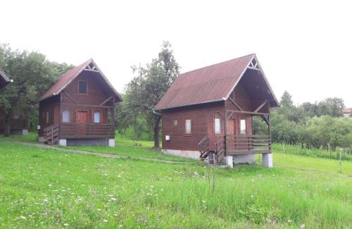 Bratca House | Casa Delureni
