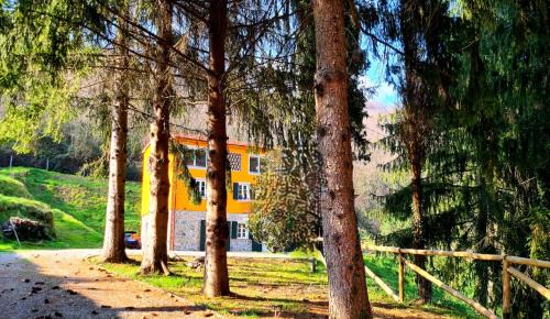 Macchino Villa | Casa Di Bruno, Lucca, Toscane